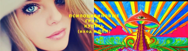 a pvp Новодвинск