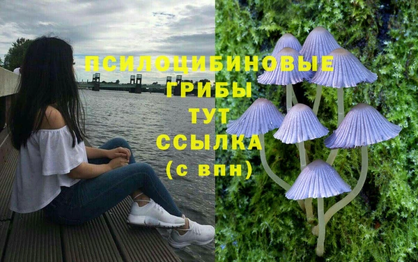 прущая мука Новокубанск