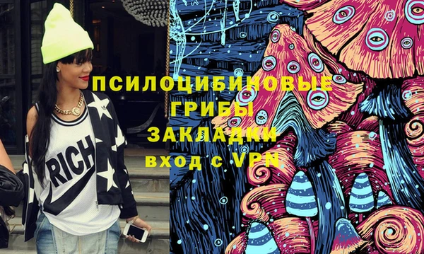 a pvp Новодвинск