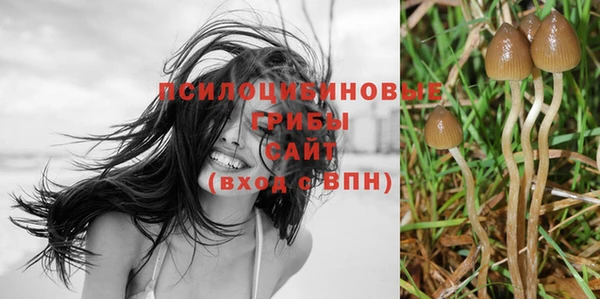 марки nbome Новозыбков
