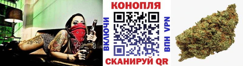 Бошки марихуана сатива  Пудож 
